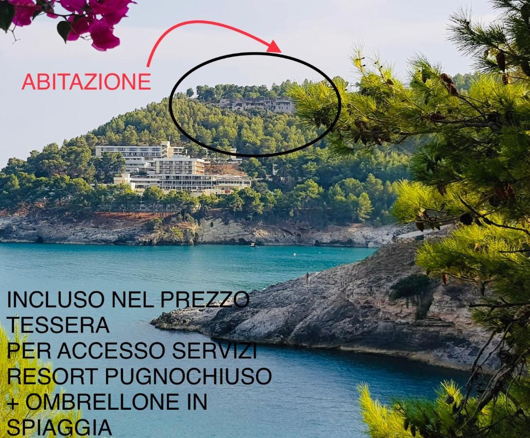 La Finestra Sul Mare - Antonella Apartment Vieste Luaran gambar
